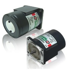 RK Reversible Motor